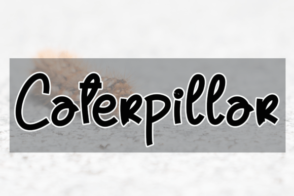 Caterpillar Font: Friendly & Memorable