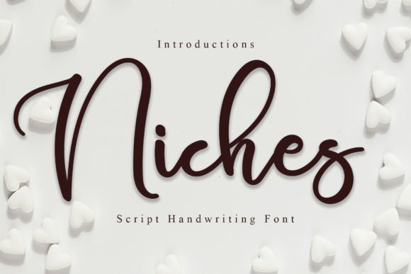 Niches: A Stylish Font for Business