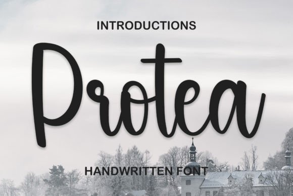Protea: A Stylish Font for Campaigns