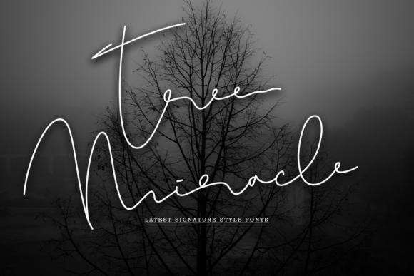 Tree Miracle Font for Creative Campaigns